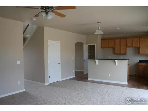493 Wind River Dr, Windsor, CO 80550 photo 11