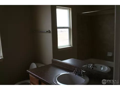 493 Wind River Dr, Windsor, CO 80550 photo 15