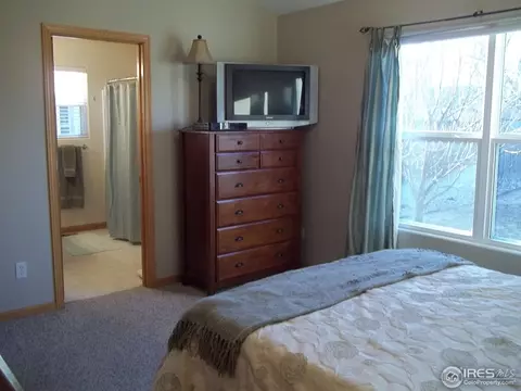 402 Hemlock Dr, Windsor, CO 80550 photo 11