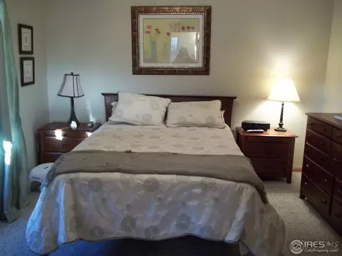 402 Hemlock Dr, Windsor, CO 80550 photo 10