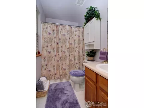 3205 Pheasant St, Evans, CO 80620 photo 9