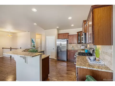 16767 Buffalo Valley Path, Monument, CO 80132 photo 7