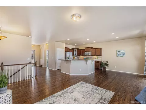 16767 Buffalo Valley Path, Monument, CO 80132 photo 5