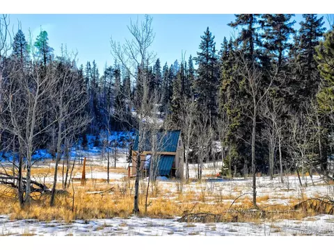 676 Red Cloud Dr, Como, CO 80432 photo 11