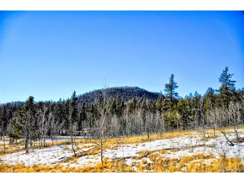 676 Red Cloud Dr, Como, CO 80432 photo 5
