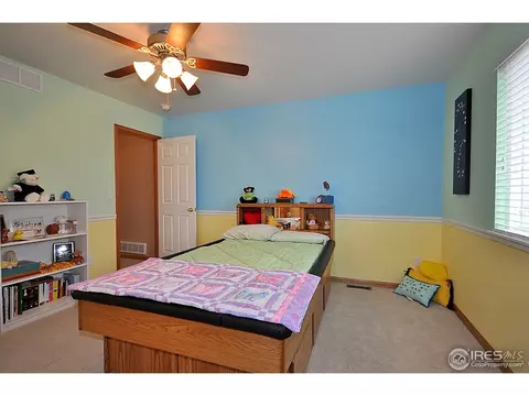 247 Topaz Ct, Windsor, CO 80550 photo 13
