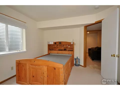 247 Topaz Ct, Windsor, CO 80550 photo 19