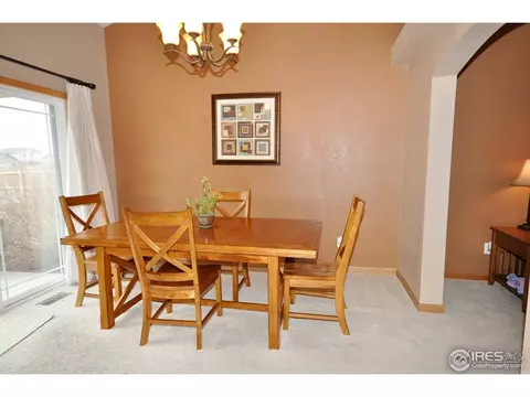 247 Topaz Ct, Windsor, CO 80550 photo 10