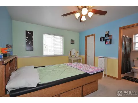 247 Topaz Ct, Windsor, CO 80550 photo 14