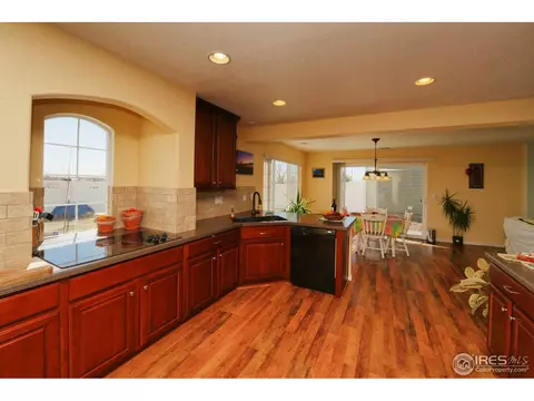 20424 55th Pl, Denver, CO 80249 photo 1