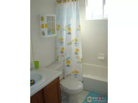 5282 E 128th Cir, Thornton, CO 80241 photo 17