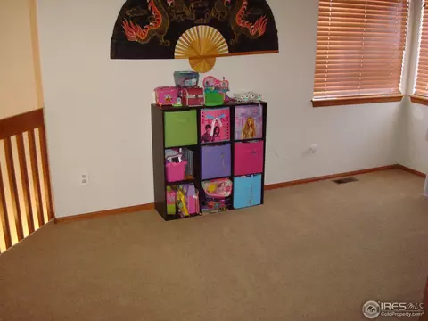 5282 E 128th Cir, Thornton, CO 80241 photo 9