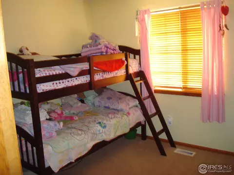5282 E 128th Cir, Thornton, CO 80241 photo 15
