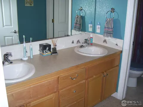410 Oak St, Windsor, CO 80550 photo 16