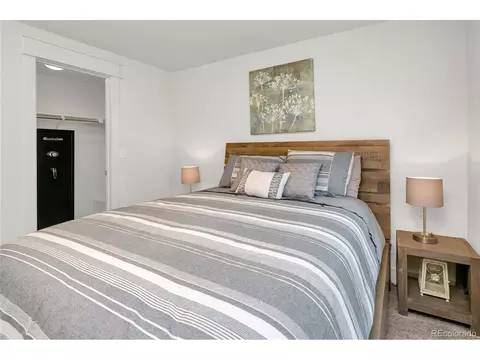 9092 E 61st Pl, Denver, CO 80238 photo 31