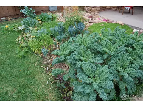 2010 Mariposa Ave, Boulder, CO 80302 photo 18