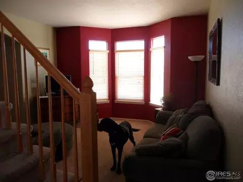 863 Cliffrose Way, Severance, CO 80550 photo 5