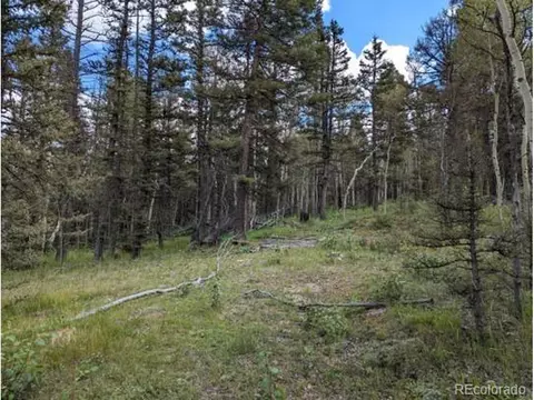 456 Timberline Dr, Guffey, CO 80820