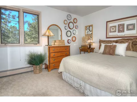 49 Alder Ln, Boulder, CO 80304 photo 22
