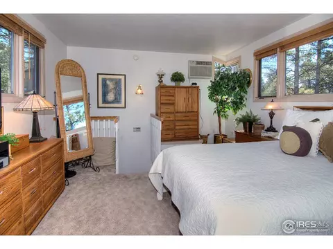 49 Alder Ln, Boulder, CO 80304 photo 19