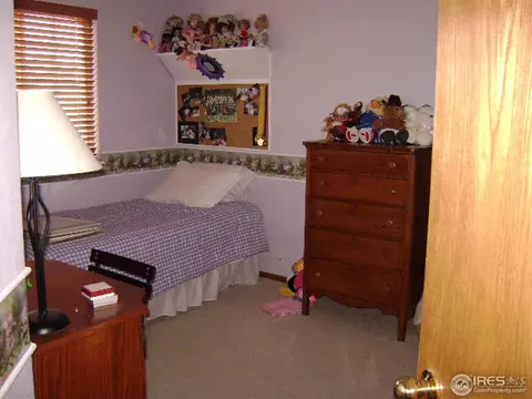 4796 Falcon Dr, Frederick, CO 80504 photo 13