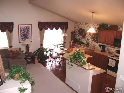 4796 Falcon Dr, Frederick, CO 80504 photo 7