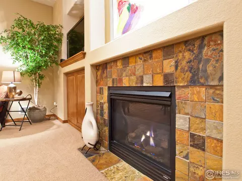 1555 Yonkee Dr, Windsor, CO 80550 photo 8