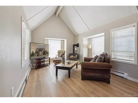 10254 Crystal Dr, Morrison, CO 80465 photo 11