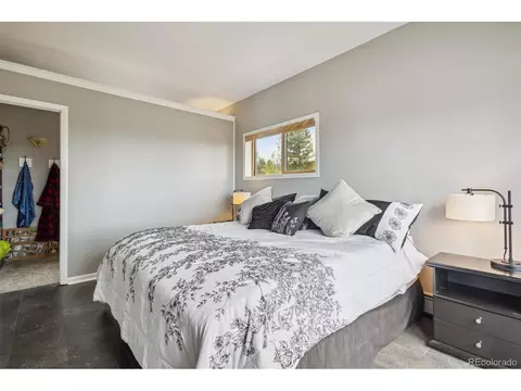 10254 Crystal Dr, Morrison, CO 80465 photo 16