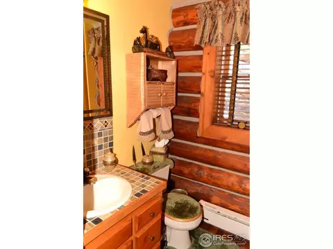 240 Leons Pl, Lyons, CO 80540 photo 17
