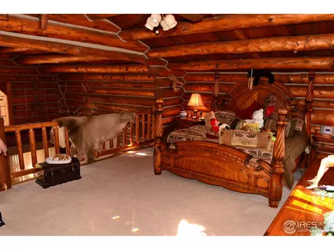 240 Leons Pl, Lyons, CO 80540 photo 18