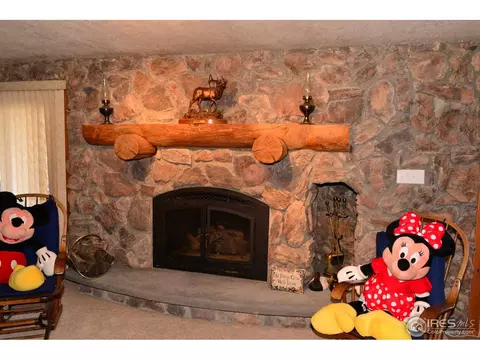 240 Leons Pl, Lyons, CO 80540 photo 15