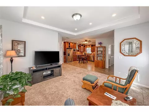 Living - 6155 Mallow Grn, Frederick, CO 80530 photo 4 of 4