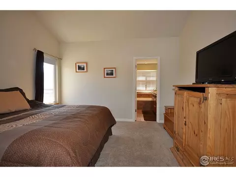 2074 Vineyard Ct, Windsor, CO 80550 photo 14