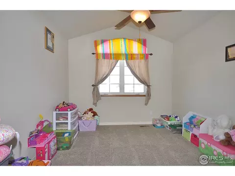 2074 Vineyard Ct, Windsor, CO 80550 photo 16