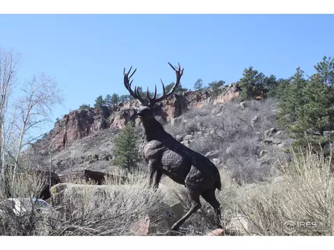 601 Indian Lookout Rd, Lyons, CO 80540 photo 4