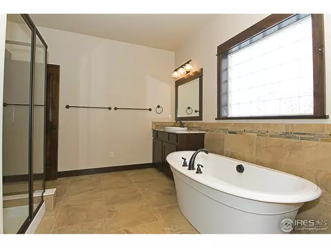 1491 Bison Run Dr, Windsor, CO 80550 photo 14