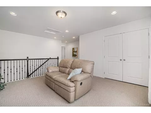 4825 Ceylon Way, Denver, CO 80249 photo 29