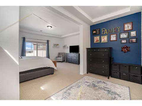4825 Ceylon Way, Denver, CO 80249 photo 22