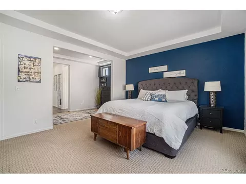 4825 Ceylon Way, Denver, CO 80249 photo 20