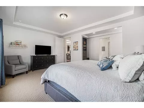 4825 Ceylon Way, Denver, CO 80249 photo 21