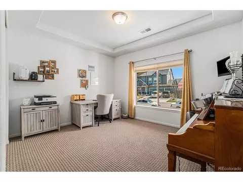 4825 Ceylon Way, Denver, CO 80249 photo 25