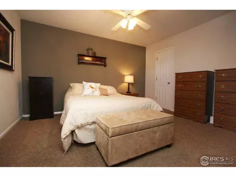 404 Tuckaway Ct, Windsor, CO 80550 photo 10