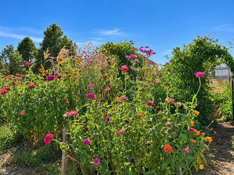 Other - 5207 County Road P, Wiggins, CO 80654 photo 12 of 14
