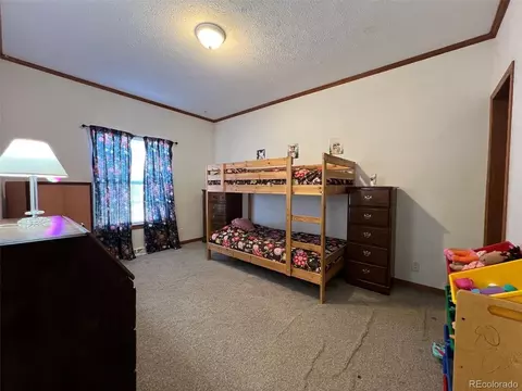 Bedroom - 5207 County Road P, Wiggins, CO 80654 photo 5 of 7