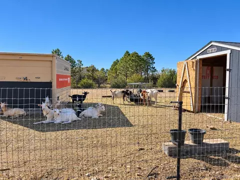 Other - 5207 County Road P, Wiggins, CO 80654 photo 14 of 14