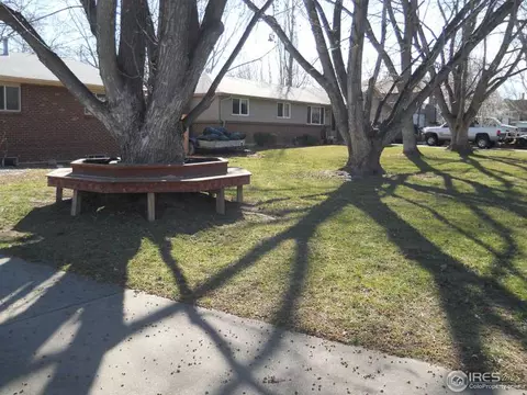 309 Bimson Ave, Berthoud, CO 80513 photo 25
