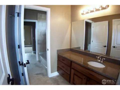 6161 Chesney Ct, Windsor, CO 80550 photo 15
