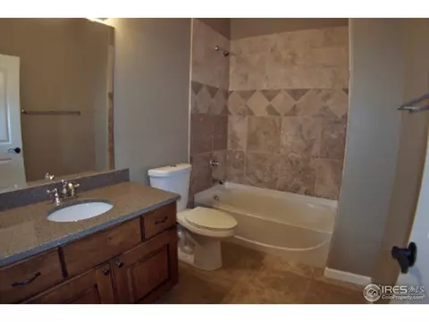 6161 Chesney Ct, Windsor, CO 80550 photo 23