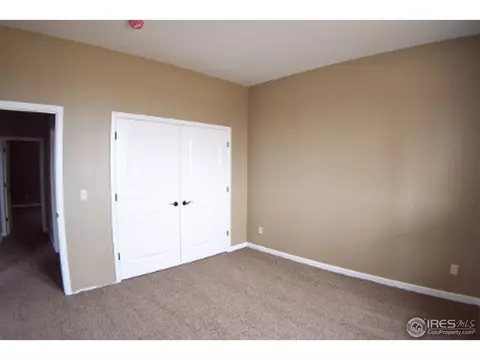 6161 Chesney Ct, Windsor, CO 80550 photo 22